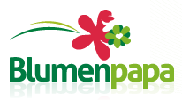 blumepapa-blumenversand